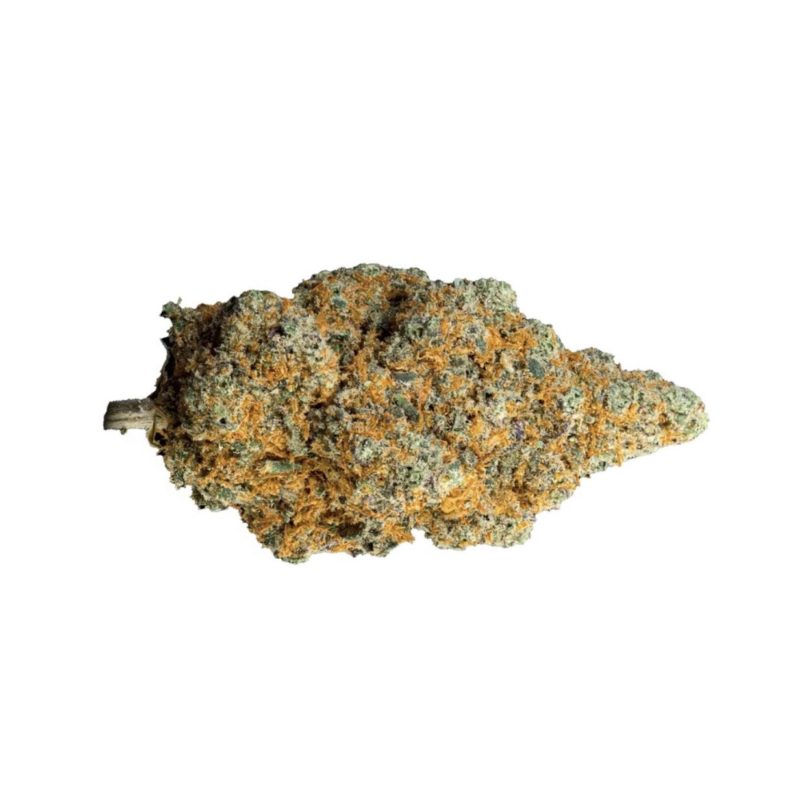 Cannagold | CBD En Gros Blueberry Muffins | Fleurs CBD Suisse