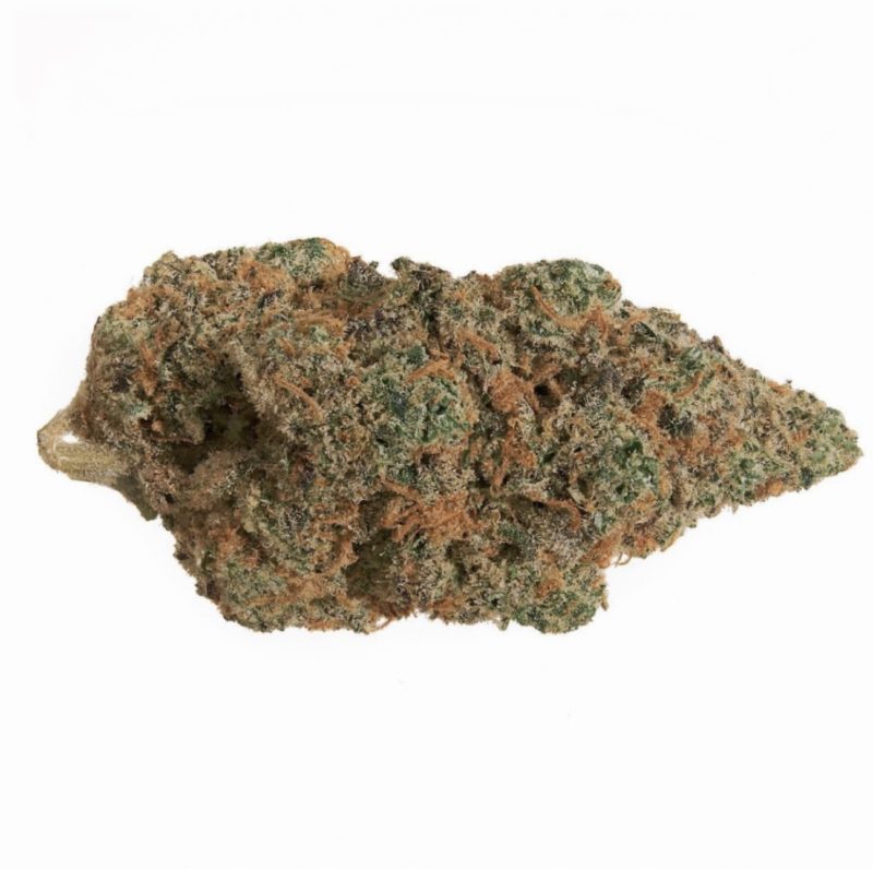 Cannagold | CBD En Gros Critical Cookie | Fleurs CBD Suisse