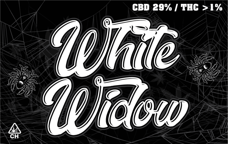 White Widow CBD Petites Fleurs