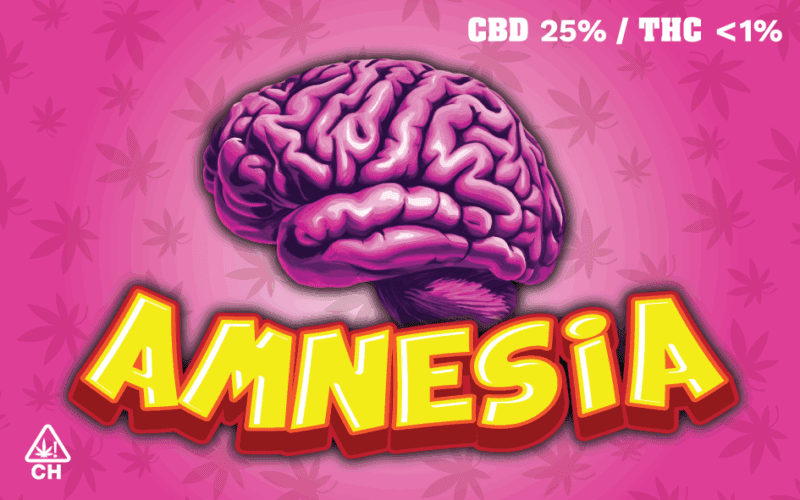 Amnesia | Petites Fleurs Indoor | 22g | Karma